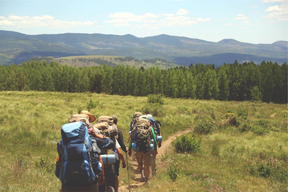 A small group hiking through a meadow